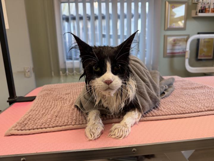 Social Saturday Welcome 🫶