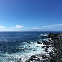 Harold Villa Alvarez