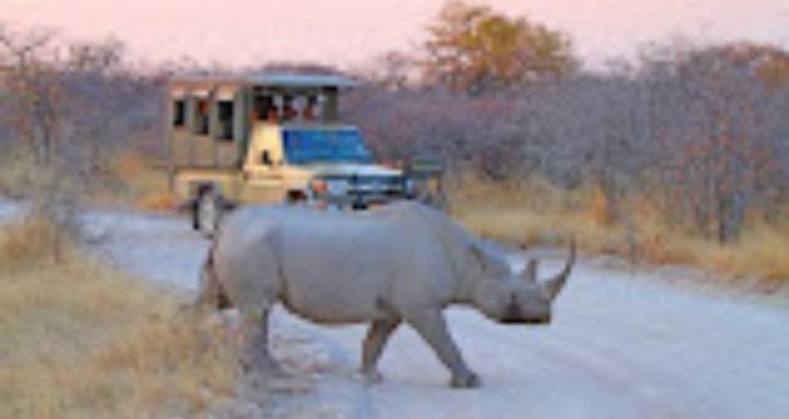 Namibia Tourism and wild life