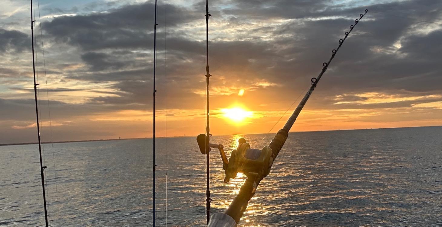 Fishing knots for beginners