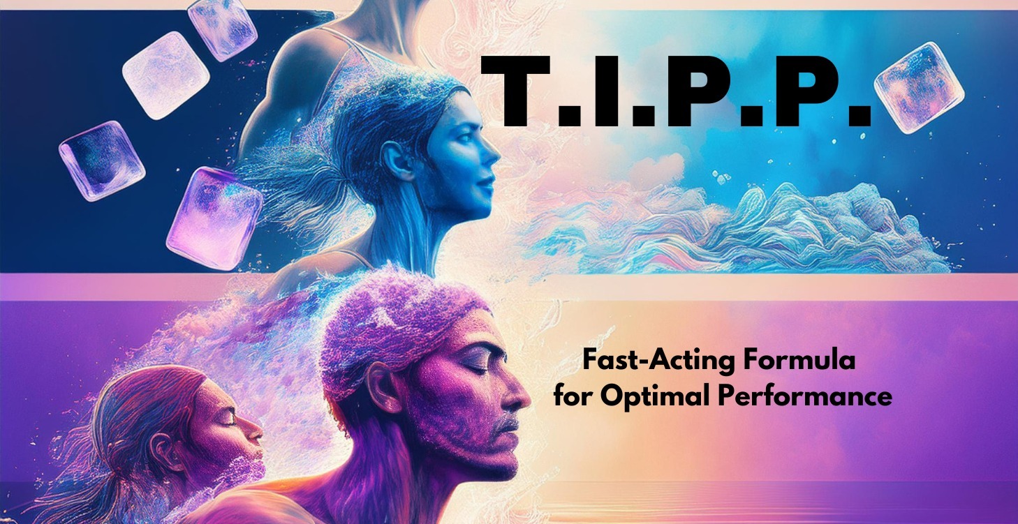 T.I.P.P. Fast Formula for Optimizing Performance