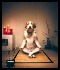 Jay Zen