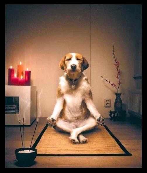 Jay Zen