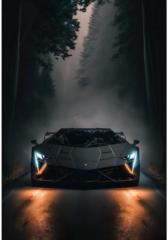 Ishan P