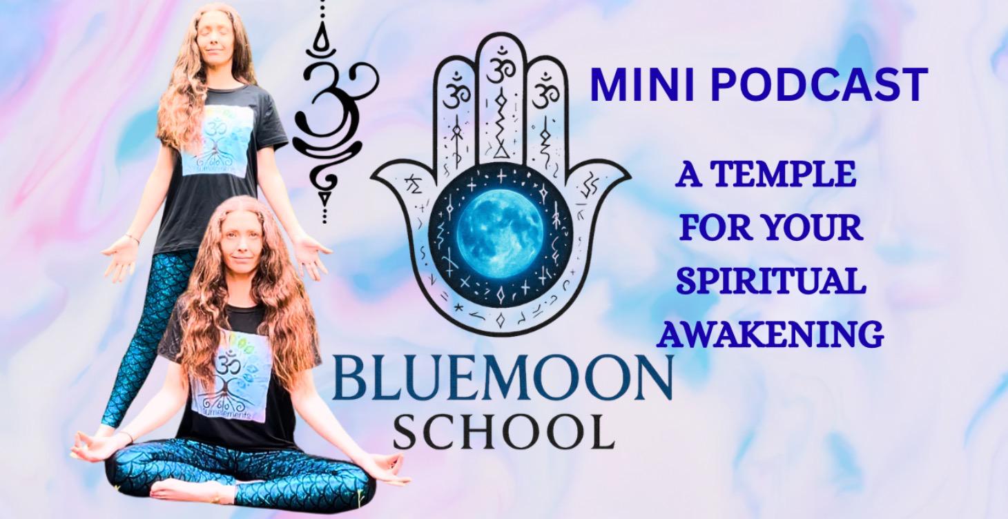 Mini podcast: Video Lessons