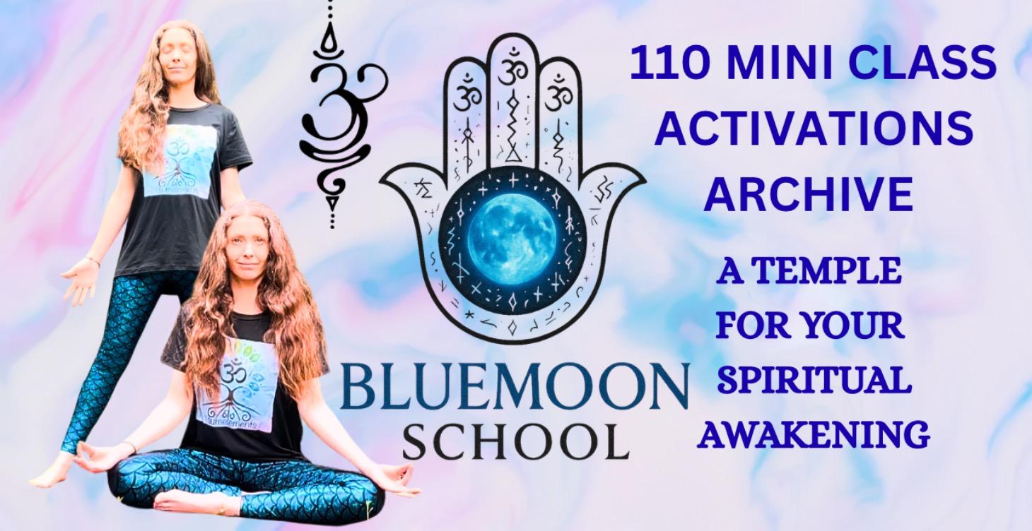 110 MINI CLASS ACTIVATIONS ARCHIVE