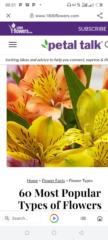 Joy Easter