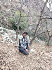 Tahar Od