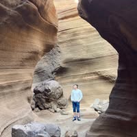 Humbert Colom alberti