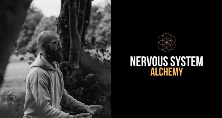 Nervous System Alchemy 