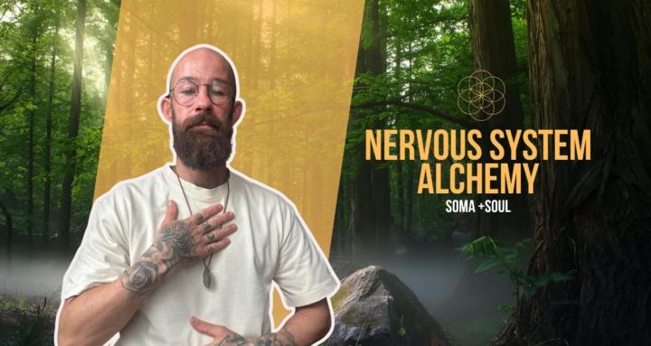 Nervous System Alchemy 