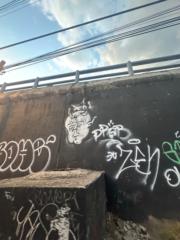 Dree Dbas