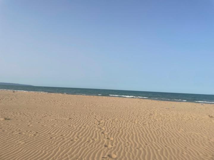 Amal Mannai