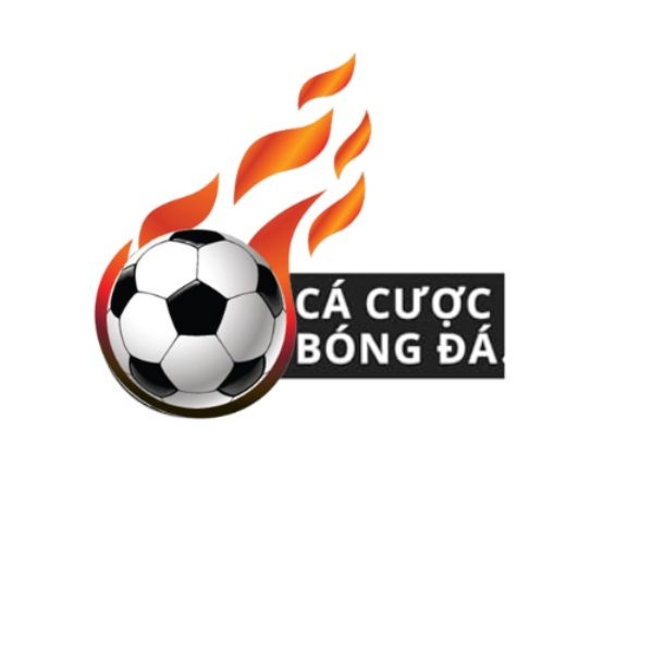 Trangcacuocbongda Salafoodtech