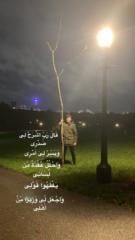Mustafa Saidi