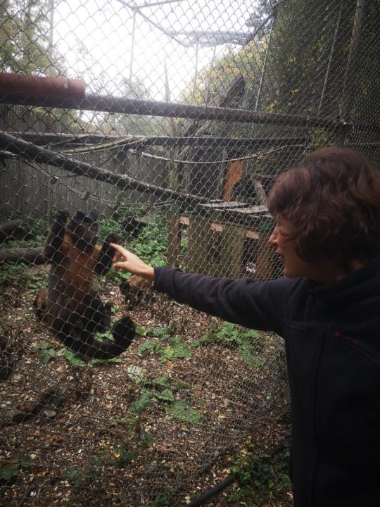 Silvia giovanna Scozzi rodriguez