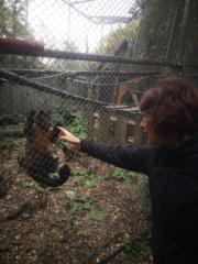 Silvia giovanna Scozzi rodriguez