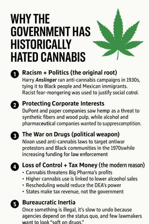 They Lied About Cannabis for 90 Years… Here’s Why