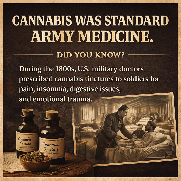  “When Cannabis Was a Military Prescription.”