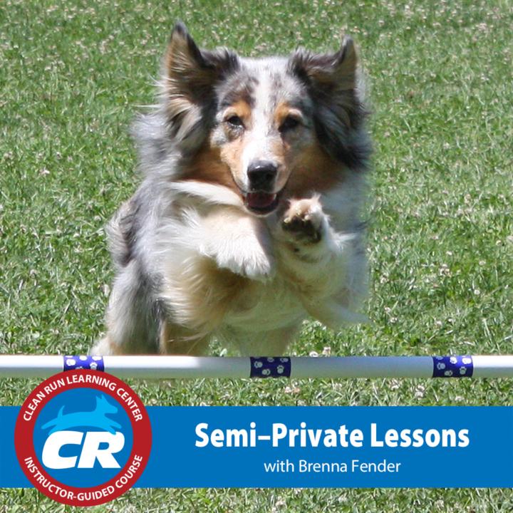 Heads Up! Semi-Private Agility Lessons from Me Available Now! 