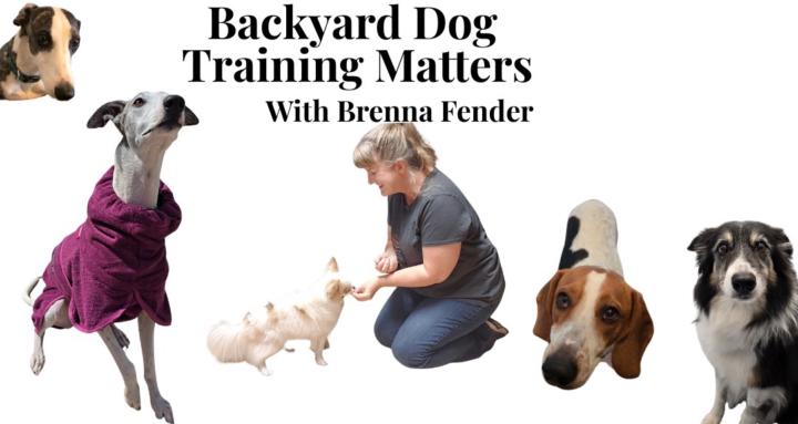 Backyard Dog Training Matters