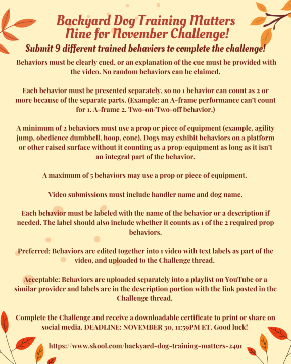 Nine for November Challenge Announcement