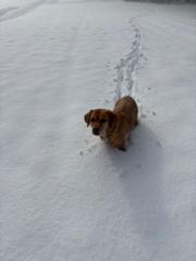 Stefanie Ehrnsperger