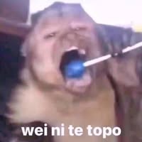 Jaime Antonio Saucedo