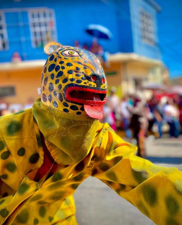 Paola Morales Sánchez