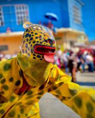 Paola Morales Sánchez