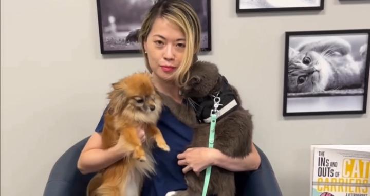 Cat and Dog Parenting School