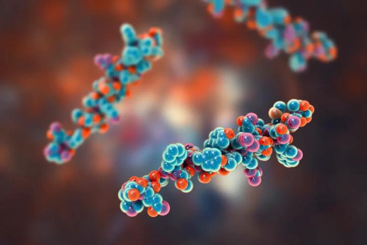 Peptides got expensive. But here’s the truth most biohackers miss…