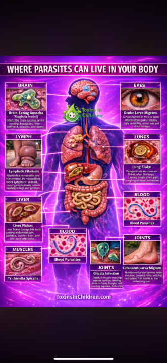 Where parasites can live in your body!
