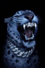 Jesús Rafael Salazar Rangel