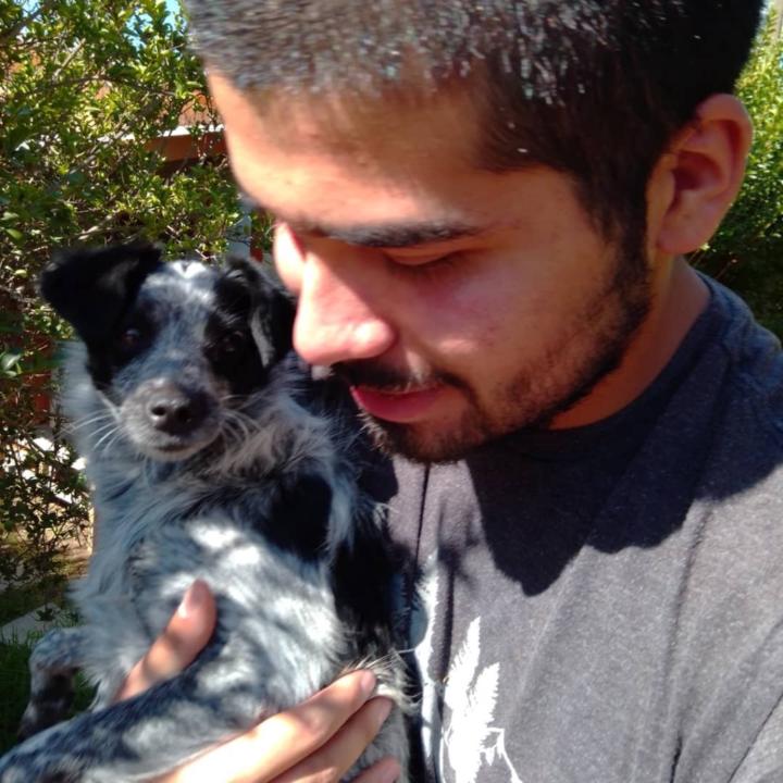 Dan Araya