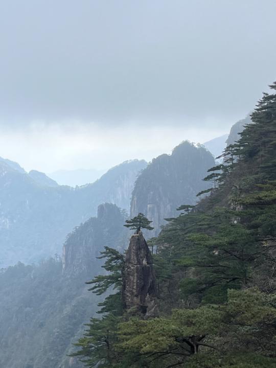 Wai Chung Yeung
