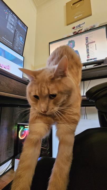 🚀 BUILD YOUR SKILLS. BUILD YOUR CAPITAL. BUILD YOUR FUTURE.