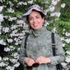 Vajihe Nikbin