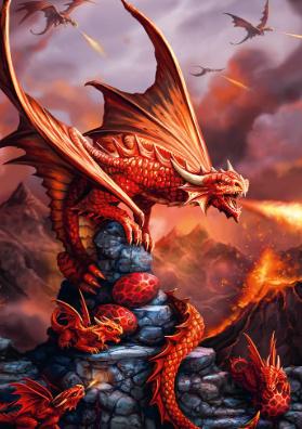 Flammable Dragonplayz