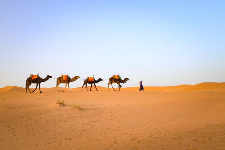 Ето факт, който малко хора осъзнават: