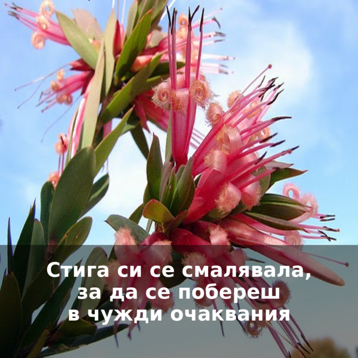 Кога за последно избра себе си… 