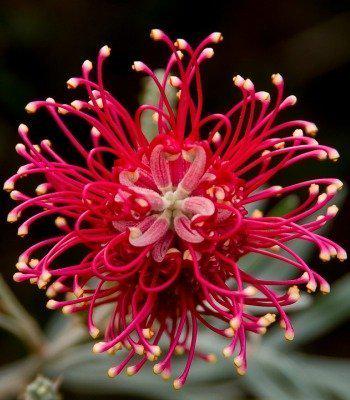 Не чакай одобрение... - Бъди одобрението!