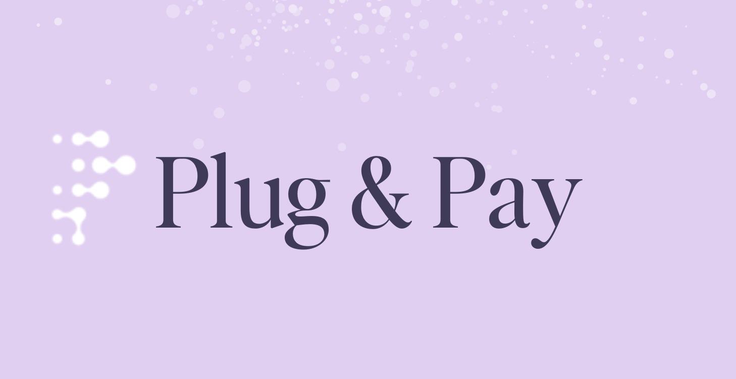 Plug en Pay Wegwijzer