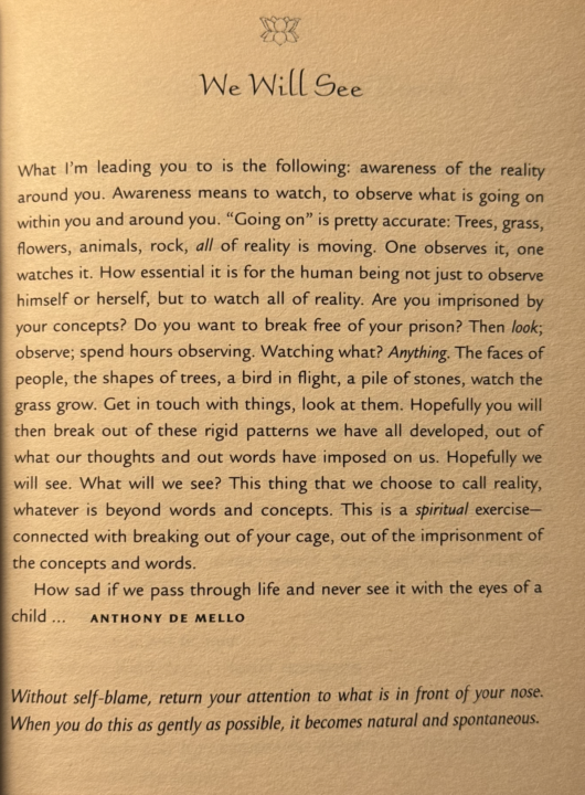 Breaking Patterns and Bumping Into Magic