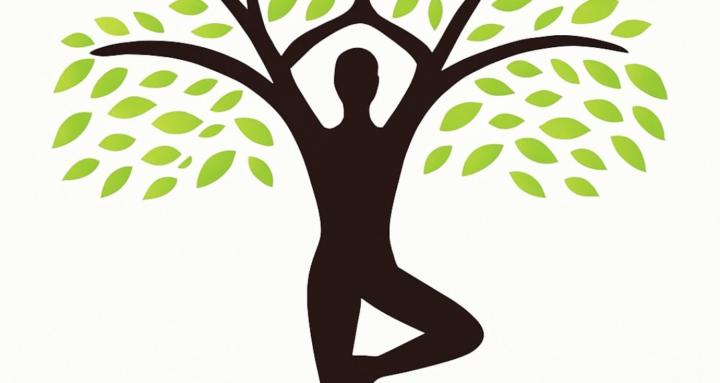 Willow Tree Collective Care