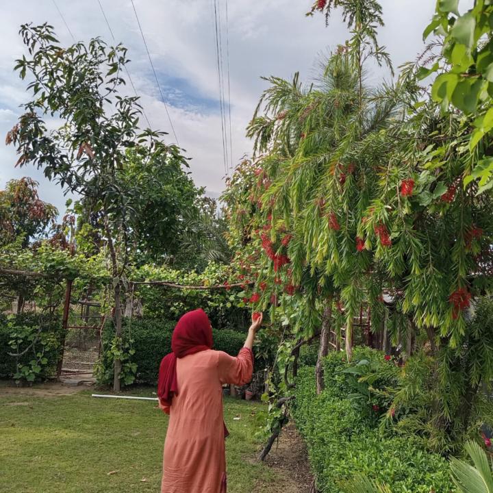 Ambreen Qayyum