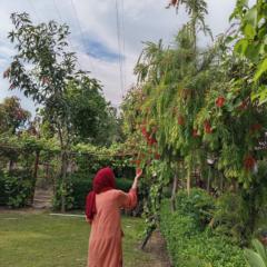 Ambreen Qayyum