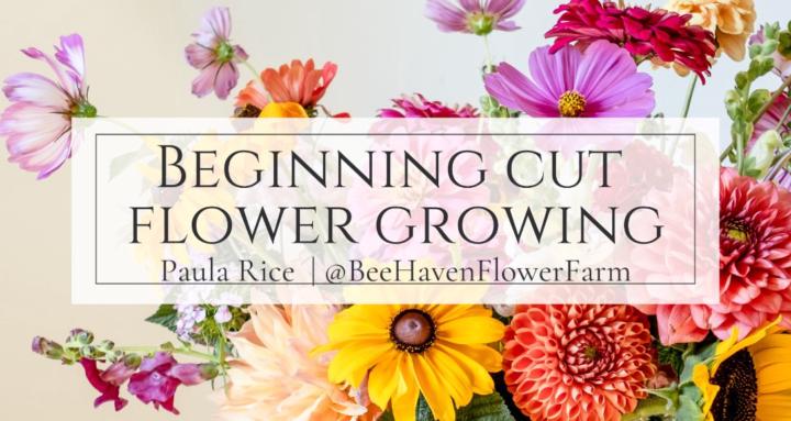 BeeHaven Flower Farm