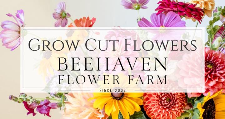 BeeHaven Flower Farm
