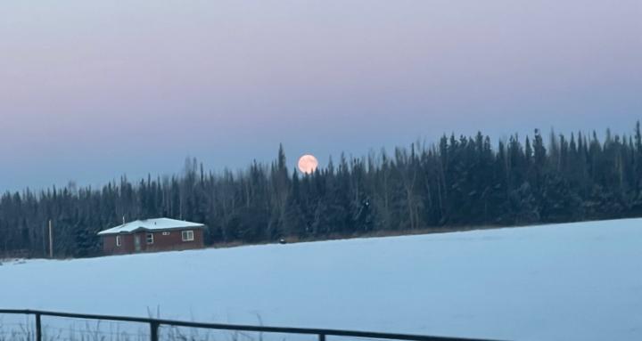 Single mothers dating guide